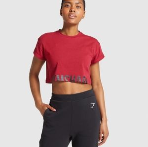 Gymshark Burgundy X-Small Fraction Crop Top